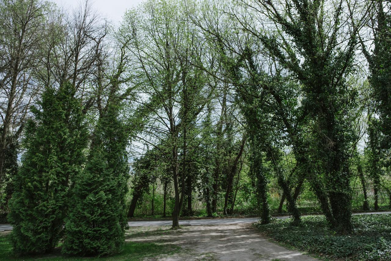 Ferienwohnung Apartman Vuk Palić Exterior foto